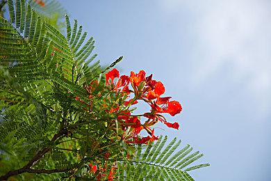 《无限试驾：太阳王冠》疑似再次跳票